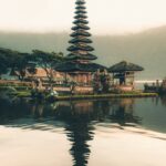 Bali rice terraces in tropical weather