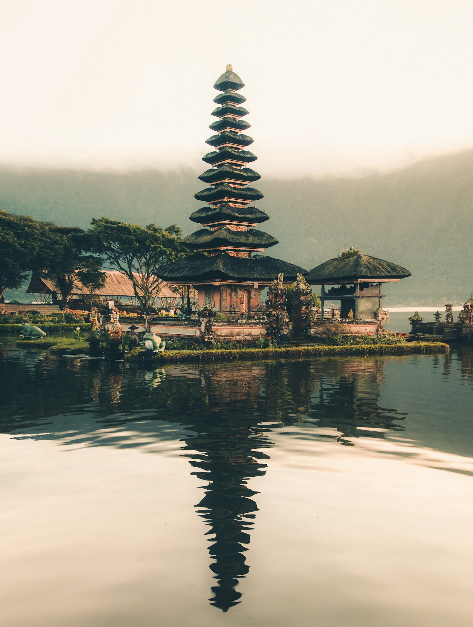 Bali rice terraces in tropical weather