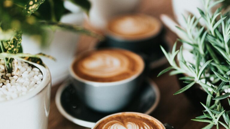 Best Cafes in Bali 2026: Work, Coffee and Good Vibes